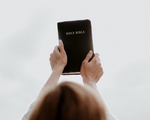 bible3web500